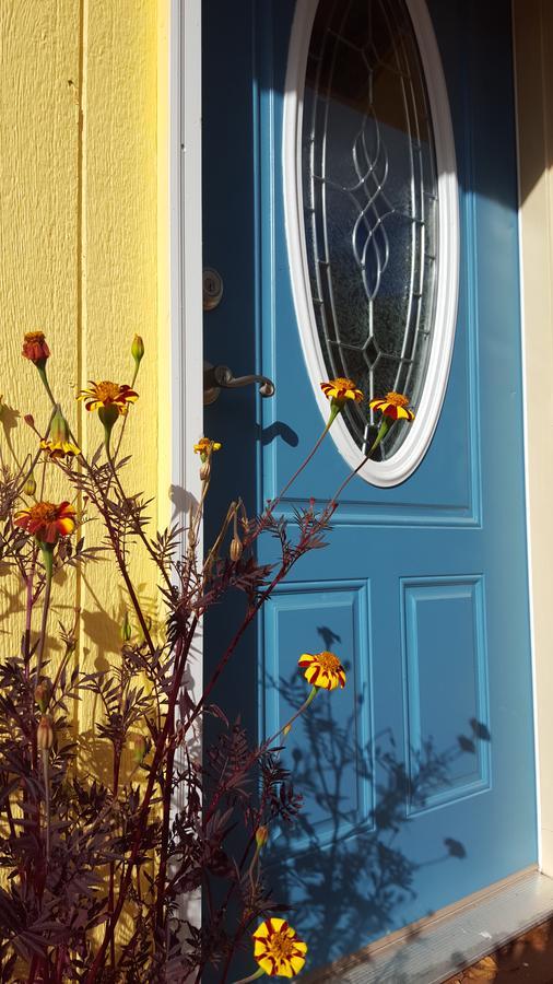 Sunshine Cottage タルキートナ エクステリア 写真